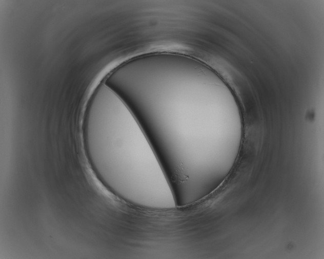 X0000093560947200710150953