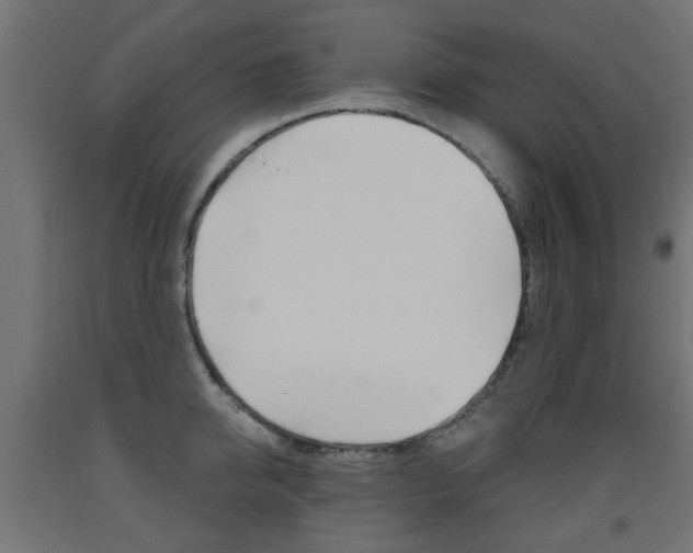 X0000093560950200710150954
