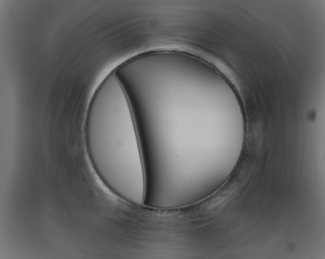X0000093560951200710150954