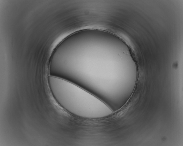 X0000093560952200710150954