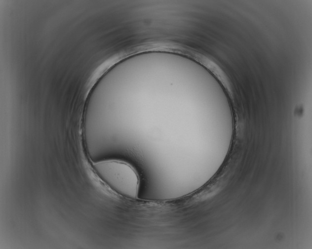 X0000093560954200710150954