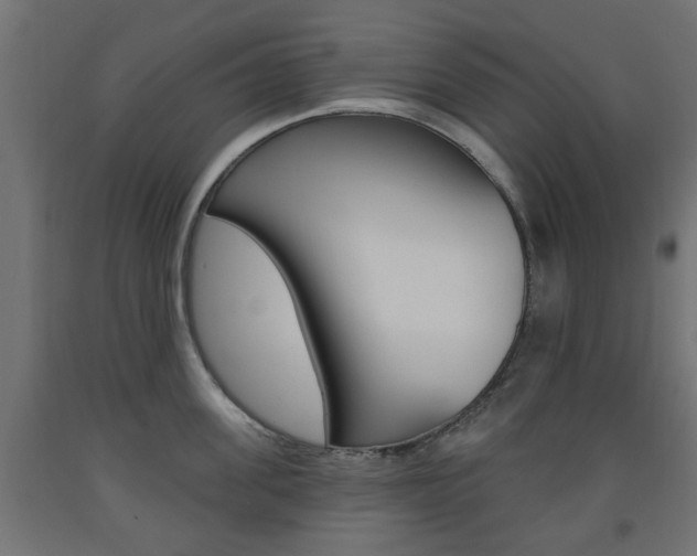 X0000093560955200710150954