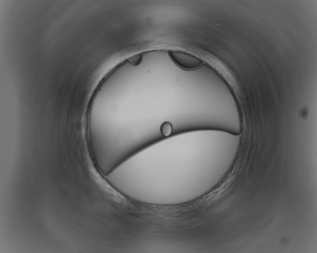 X0000093560958200710150954