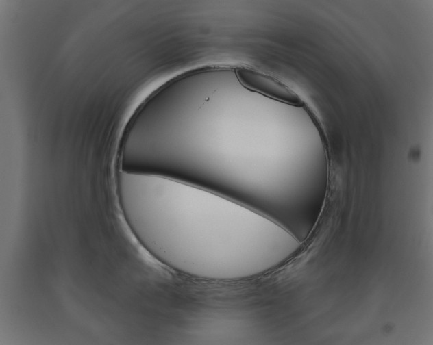 X0000093560959200710150954