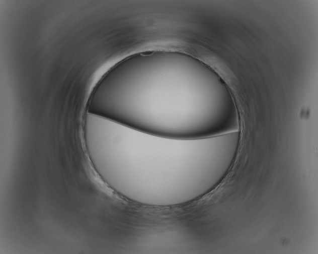 X0000093560960200710150954