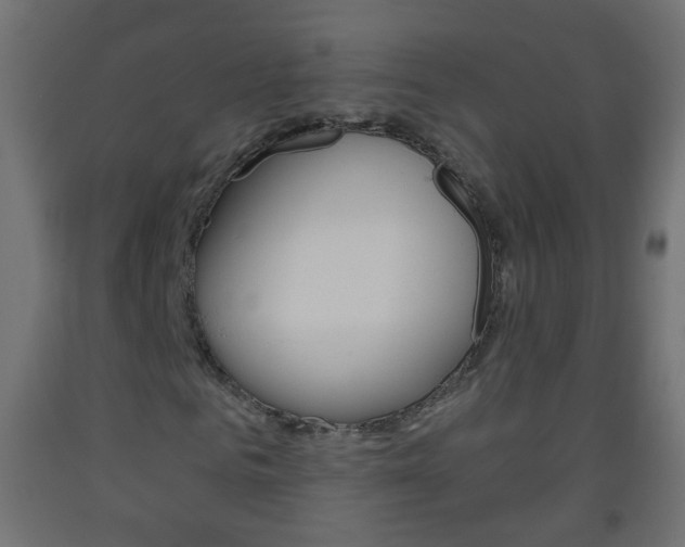 X0000093560961200710150953