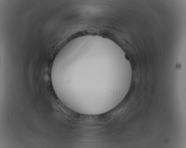 X0000093560962200710150953