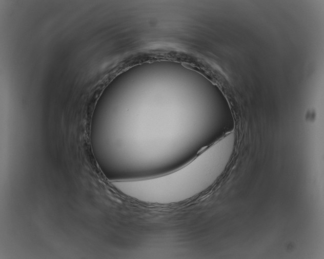 X0000093560965200710150953