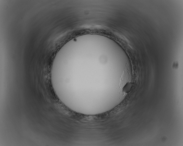 X0000093560966200710150953