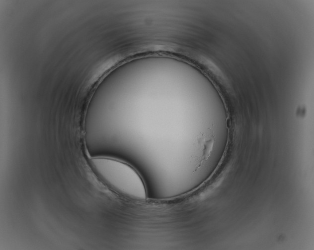 X0000093560977200710150953