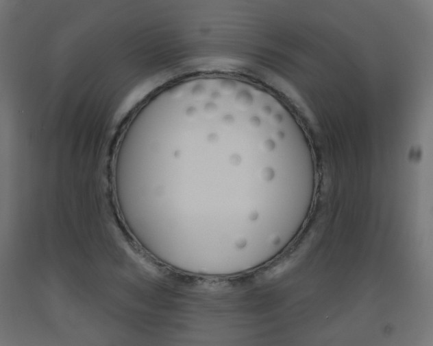 X0000093560978200710150953