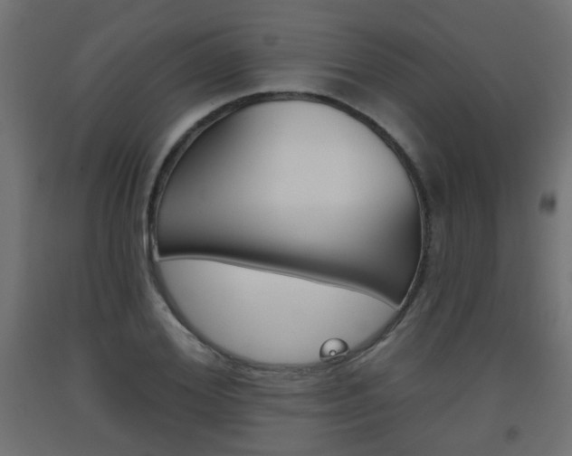 X0000093560980200710150953