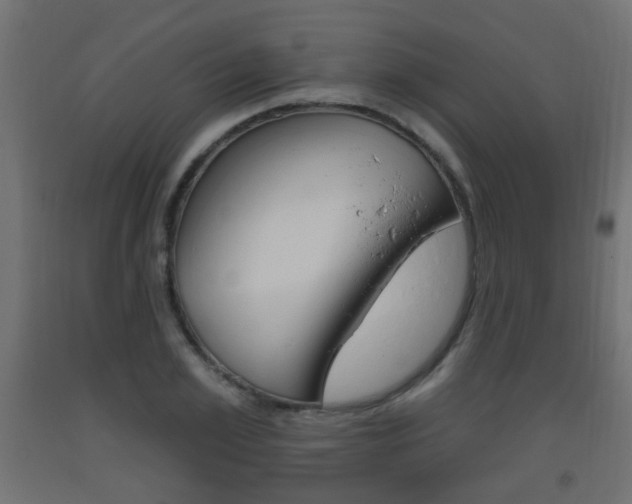 X0000093560981200710150953