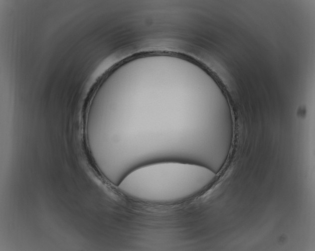 X0000093560982200710150953