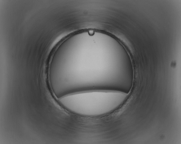 X0000093560983200710150953