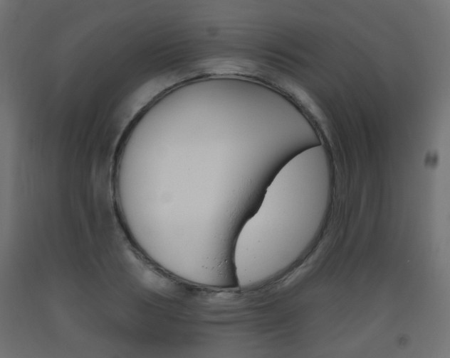 X0000093560986200710150953