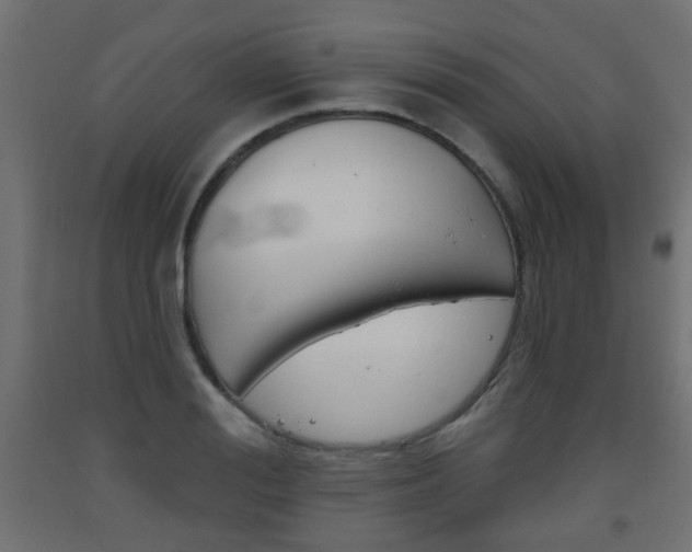 X0000093560988200710150953
