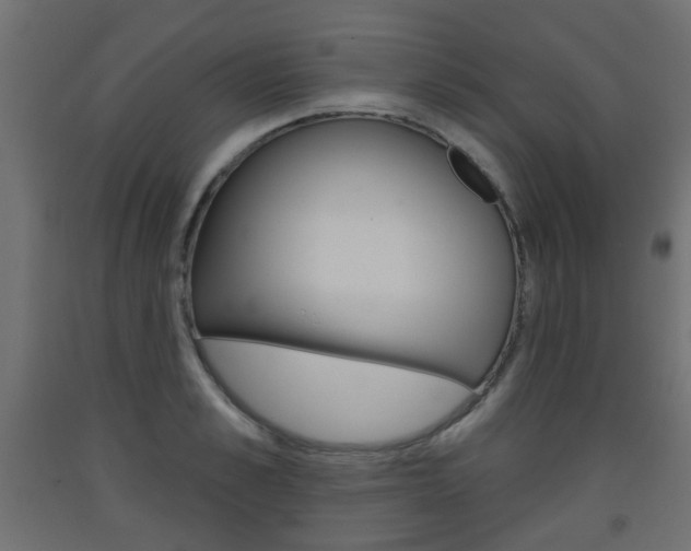 X0000093560989200710150953