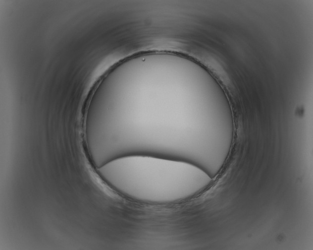 X0000093560990200710150953