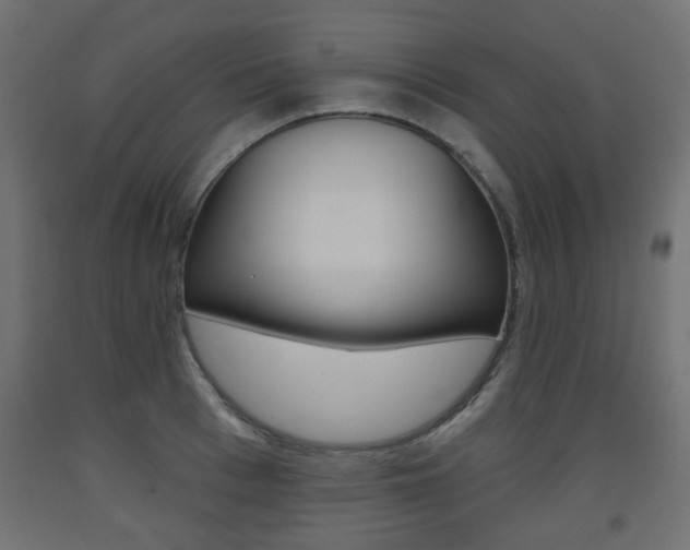 X0000093560993200710150953