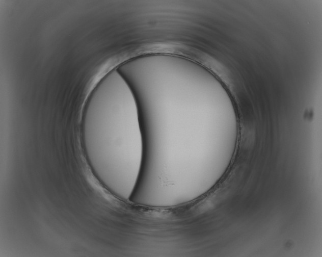 X0000093560994200710150953