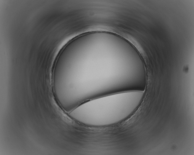 X0000093560996200710150953