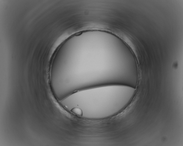 X0000093560997200710150953