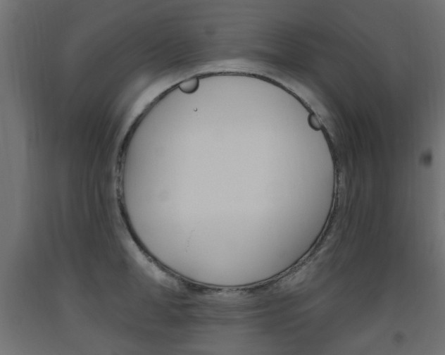 X0000093560998200710150953