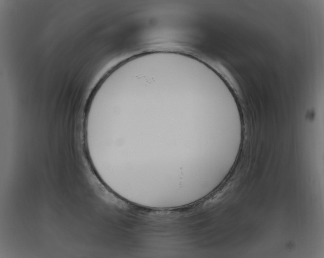 X0000093561000200710150953