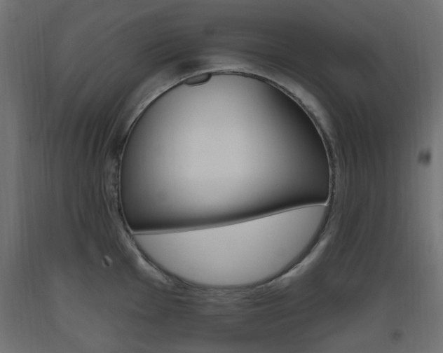 X0000093561001200710150953