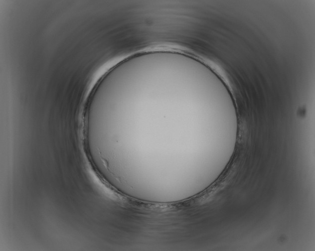 X0000093561003200710150953