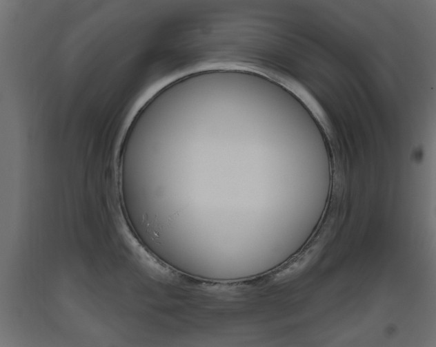 X0000093561004200710150953