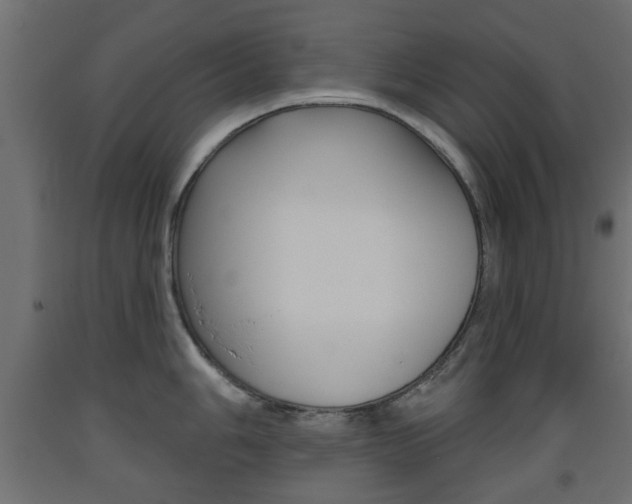 X0000093561006200710150953