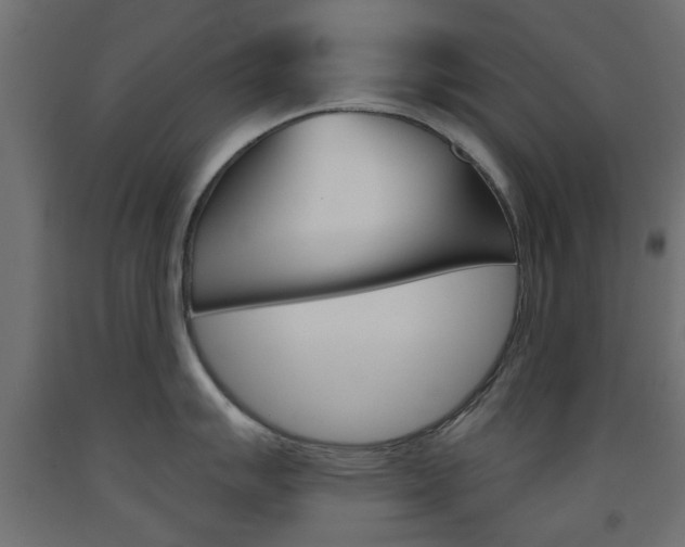 X0000093561007200710150952