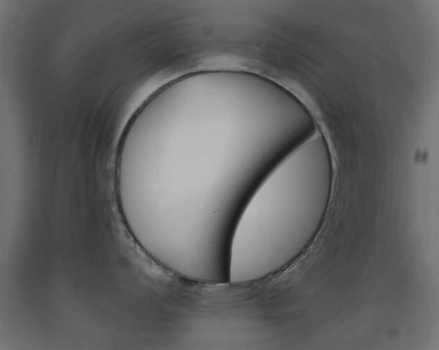 X0000093561008200710150952