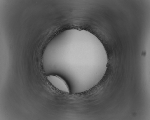 X0000093561009200710150952