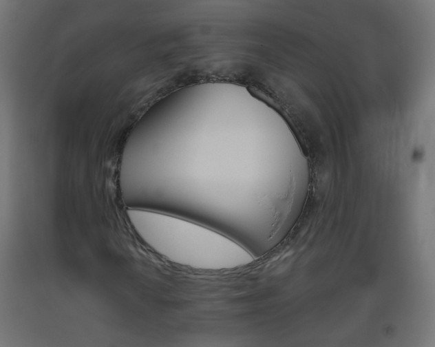X0000093561010200710150952
