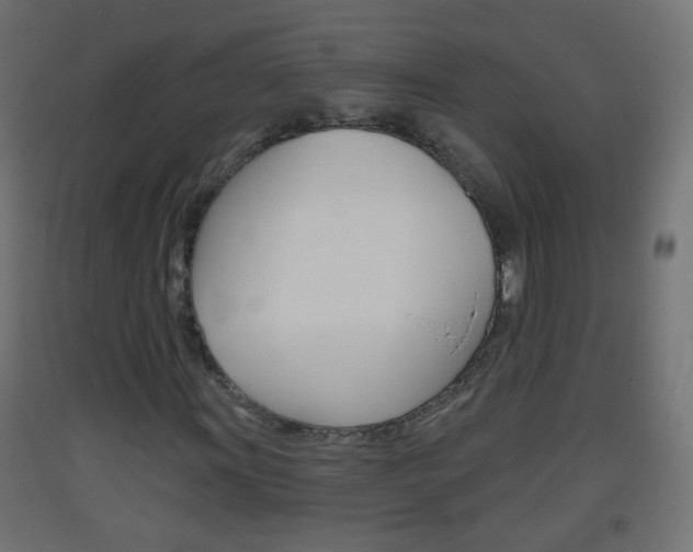 X0000093561011200710150952