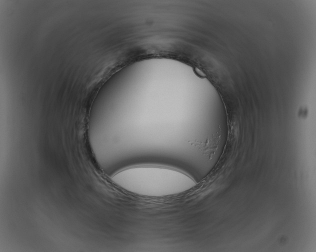 X0000093561012200710150952