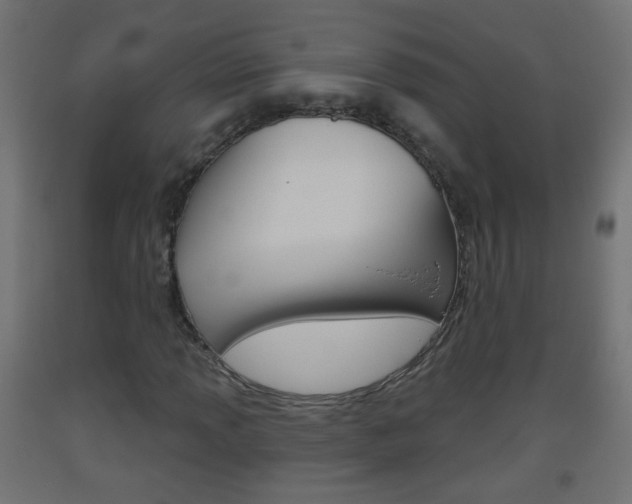 X0000093561013200710150952