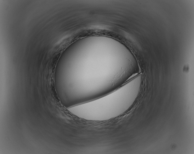 X0000093561014200710150952