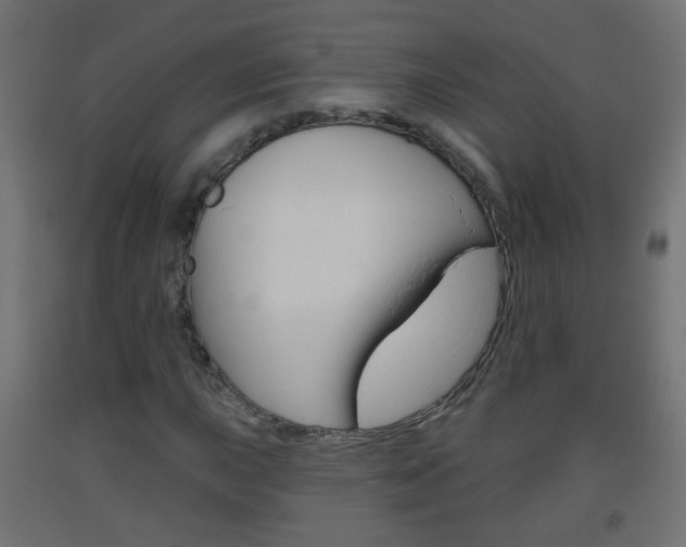X0000093561015200710150952