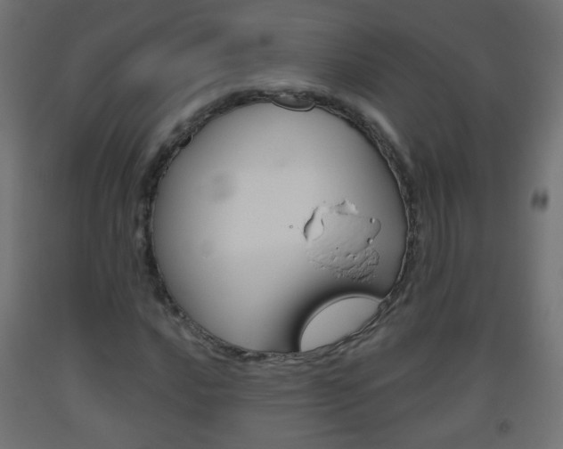 X0000093561016200710150952