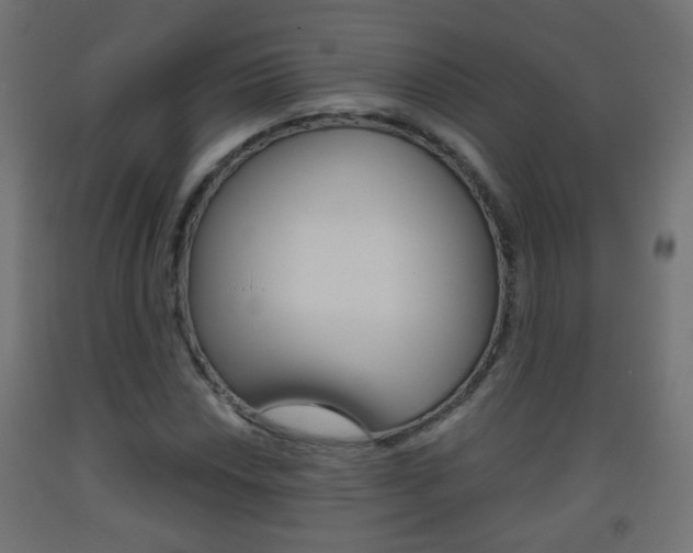 X0000093561018200710150952