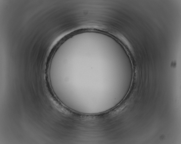 X0000093561020200710150952