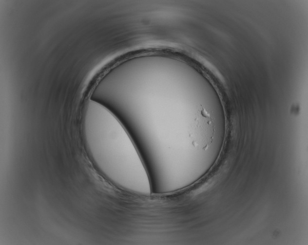 X0000093561021200710150952