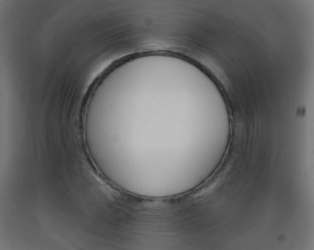 X0000093561023200710150952