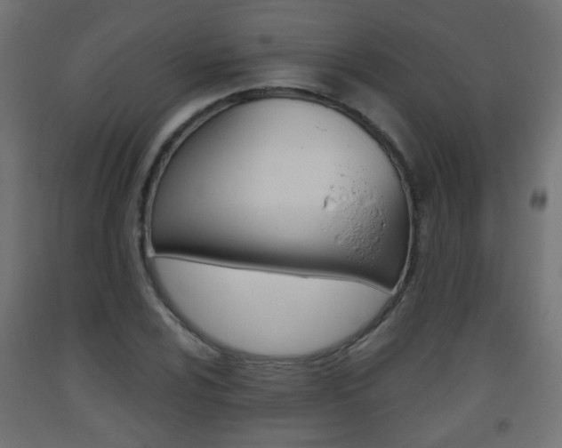 X0000093561024200710150952