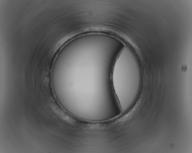 X0000093561025200710150952