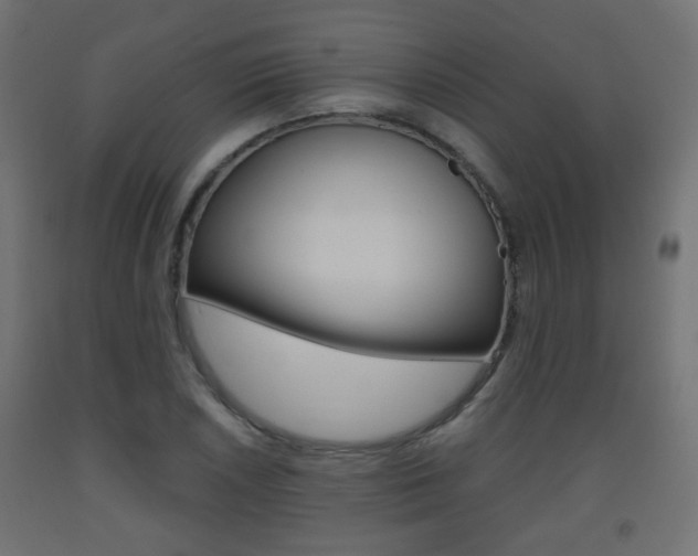 X0000093561026200710150952